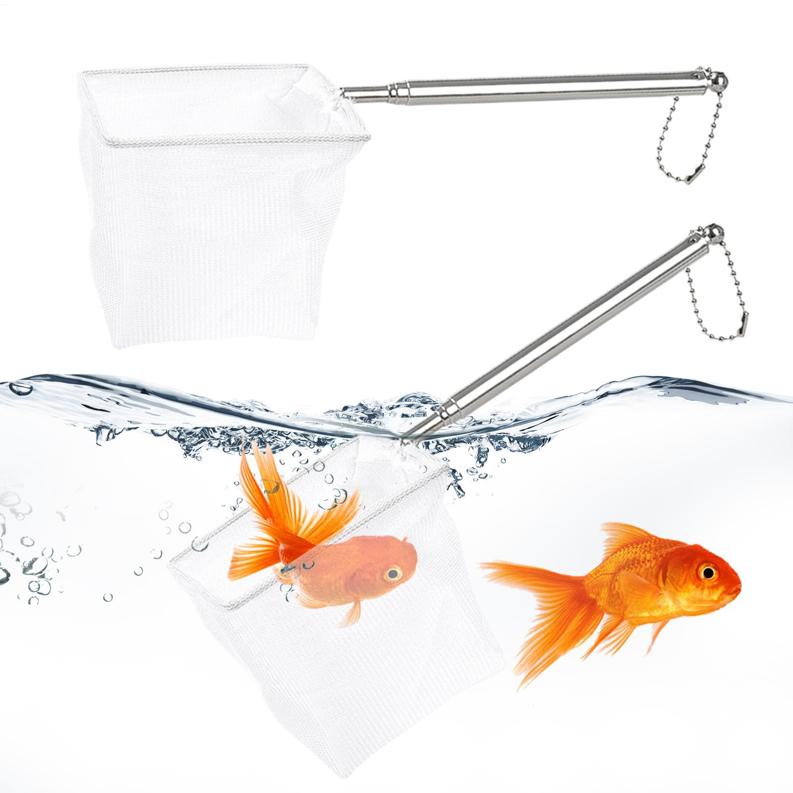 Aquarium Marineland - Lot de 2 Petits Épuisettes à