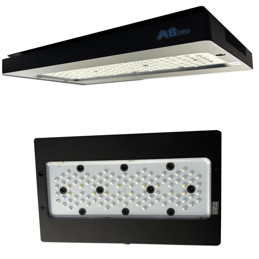 Lumière LED pour aquarium mari - Aquarium Marine Blue avis et prix
