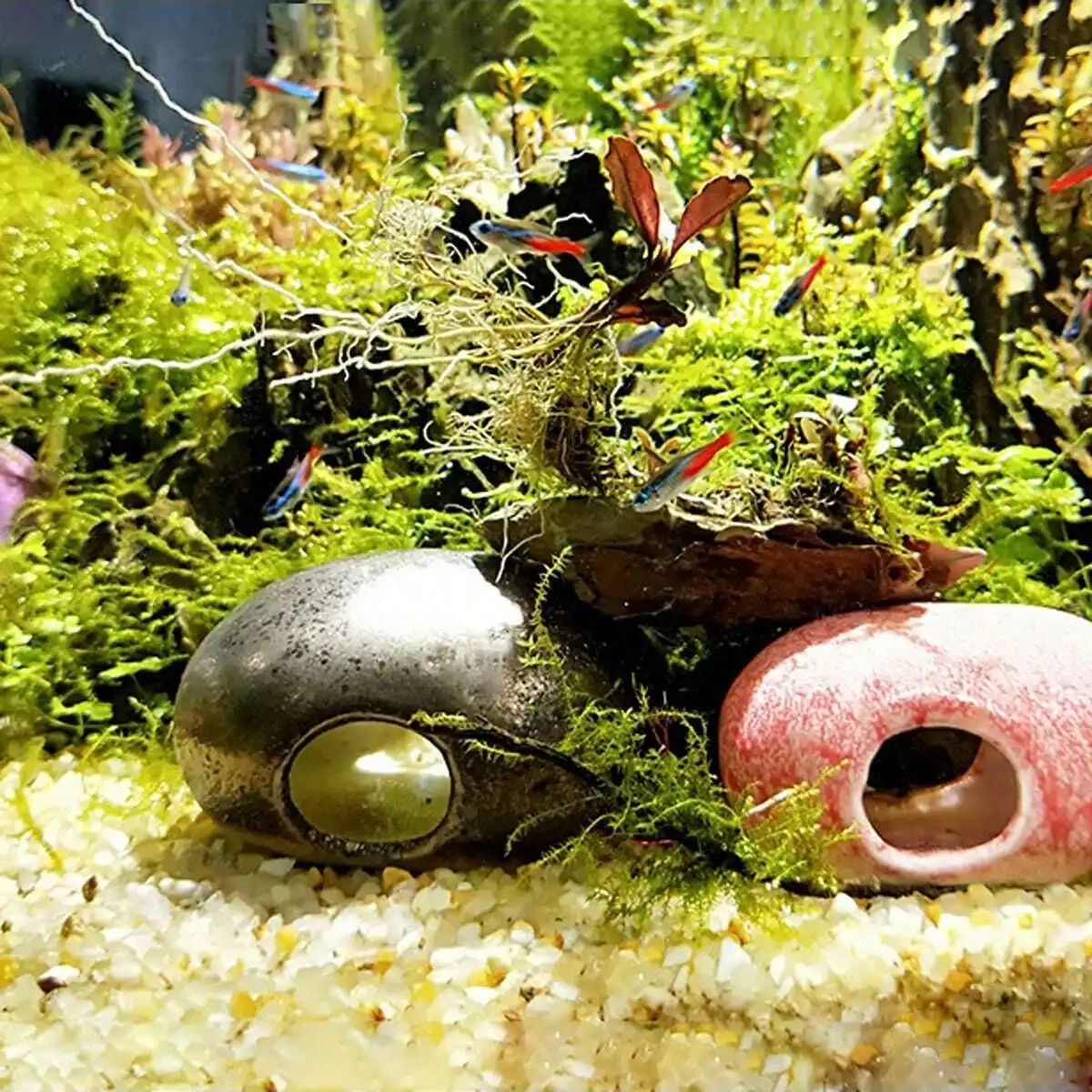 Pierre de gravier en cristaux  - Aquarium Marine Sand avis et prix