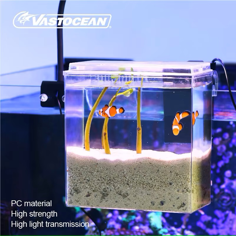 VASTOCEAN – boîte d'alimentati - Marine Aquarium Protein Skimmer avis et prix