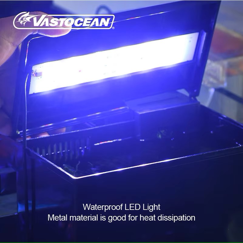 VASTOCEAN – boîte d'alimentati - Marine Aquarium Protein Skimmer avis et prix