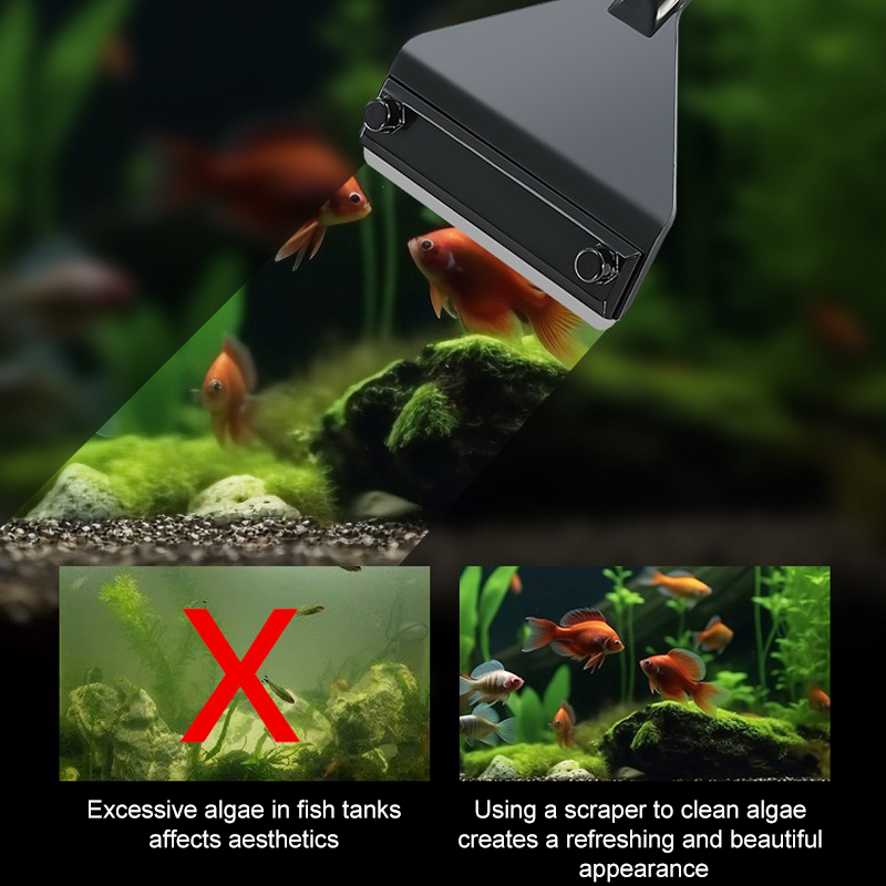 Dissolvant d'algues d'aquarium - Marine Aquarium Glass Cleaner avis et prix