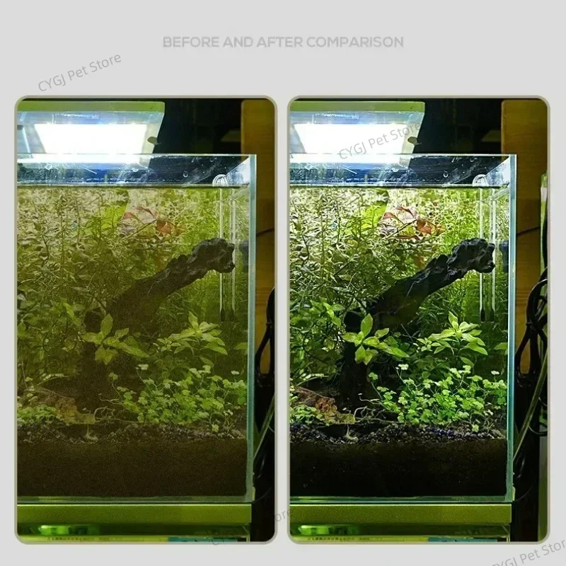 Outil de nettoyage d'aquarium, - Aquarium Marine Sand avis et prix