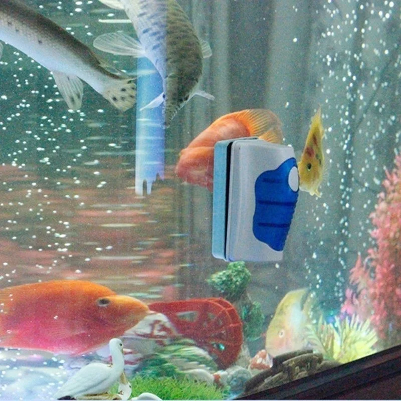 Nettoyeur de grattoir de verre - Marine Aquarium Glass Cleaner avis et prix