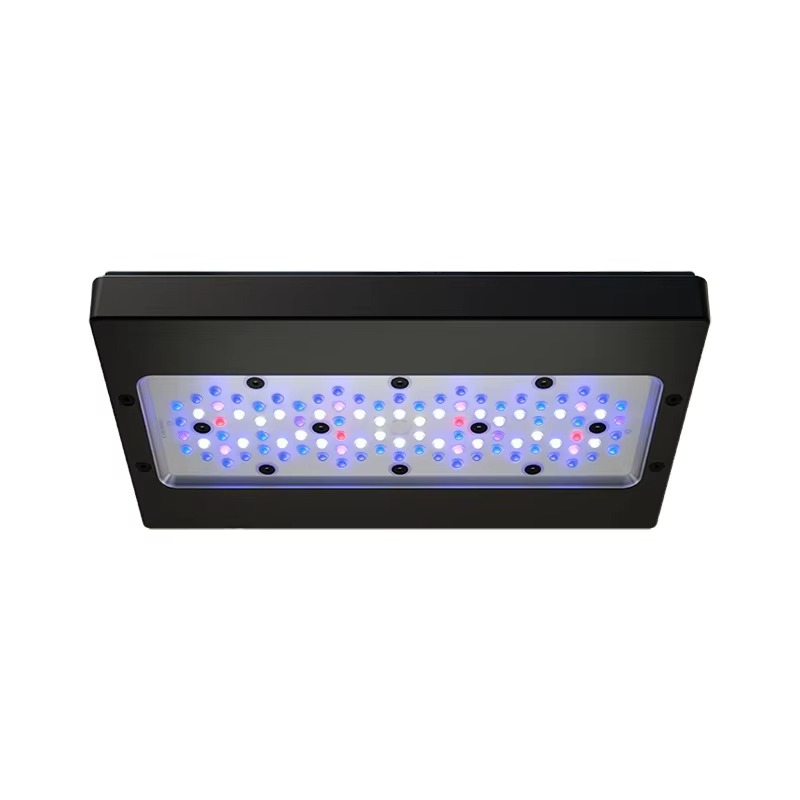 A8 Pro Bleu 215W AC 110-240V C - Aquarium Marine Blue avis et prix