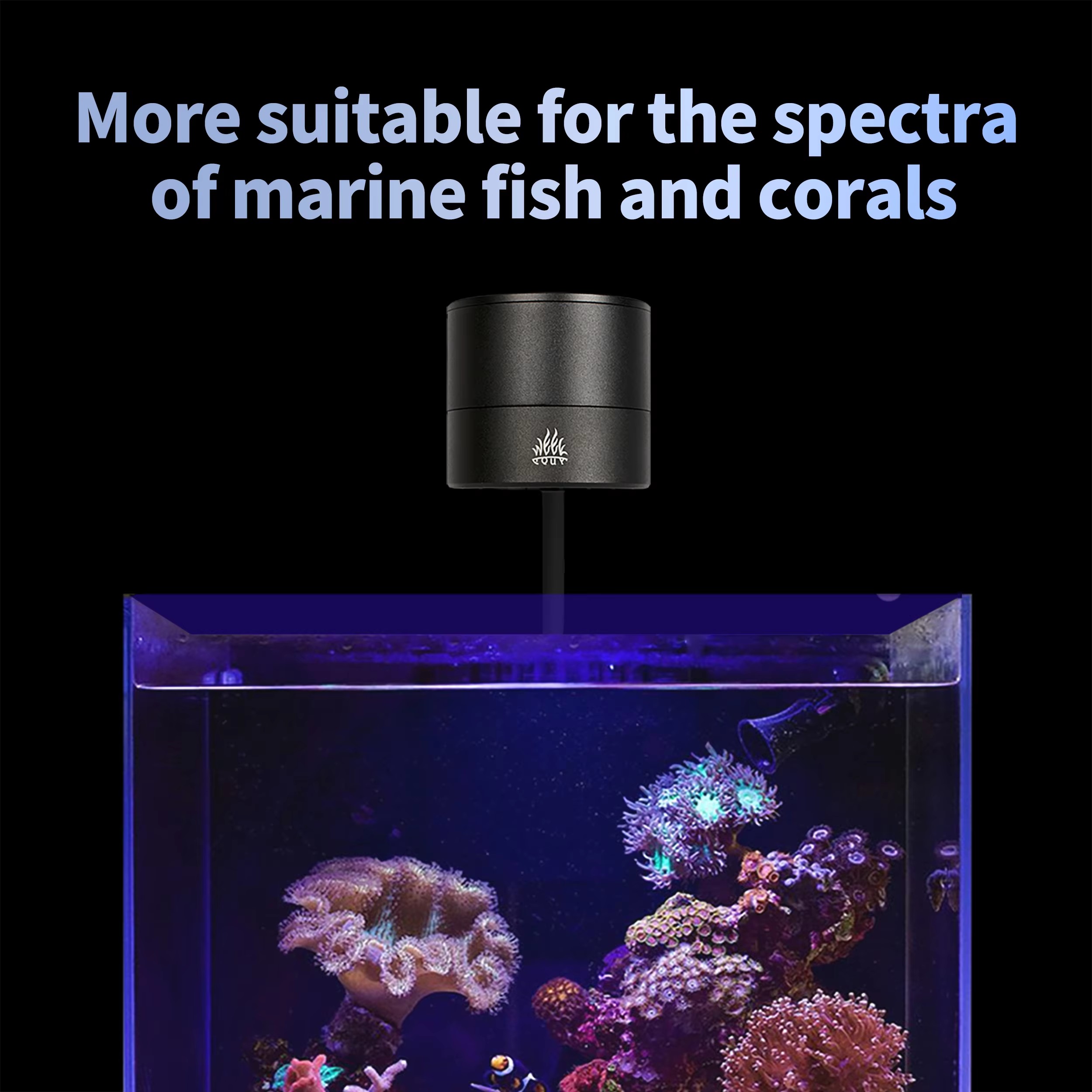 Lampe LED WEEK AQUA pour aquar - Aquarium Marine Blue avis et prix