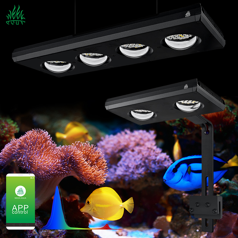 ZXY offre spéciale WEEKAQUA Z2 - Aquarium Marine Blue avis et prix