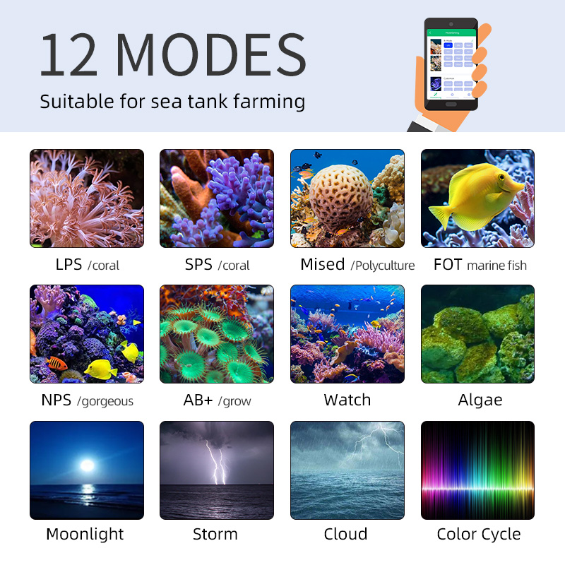 ZXY offre spéciale WEEKAQUA Z2 - Aquarium Marine Blue avis et prix
