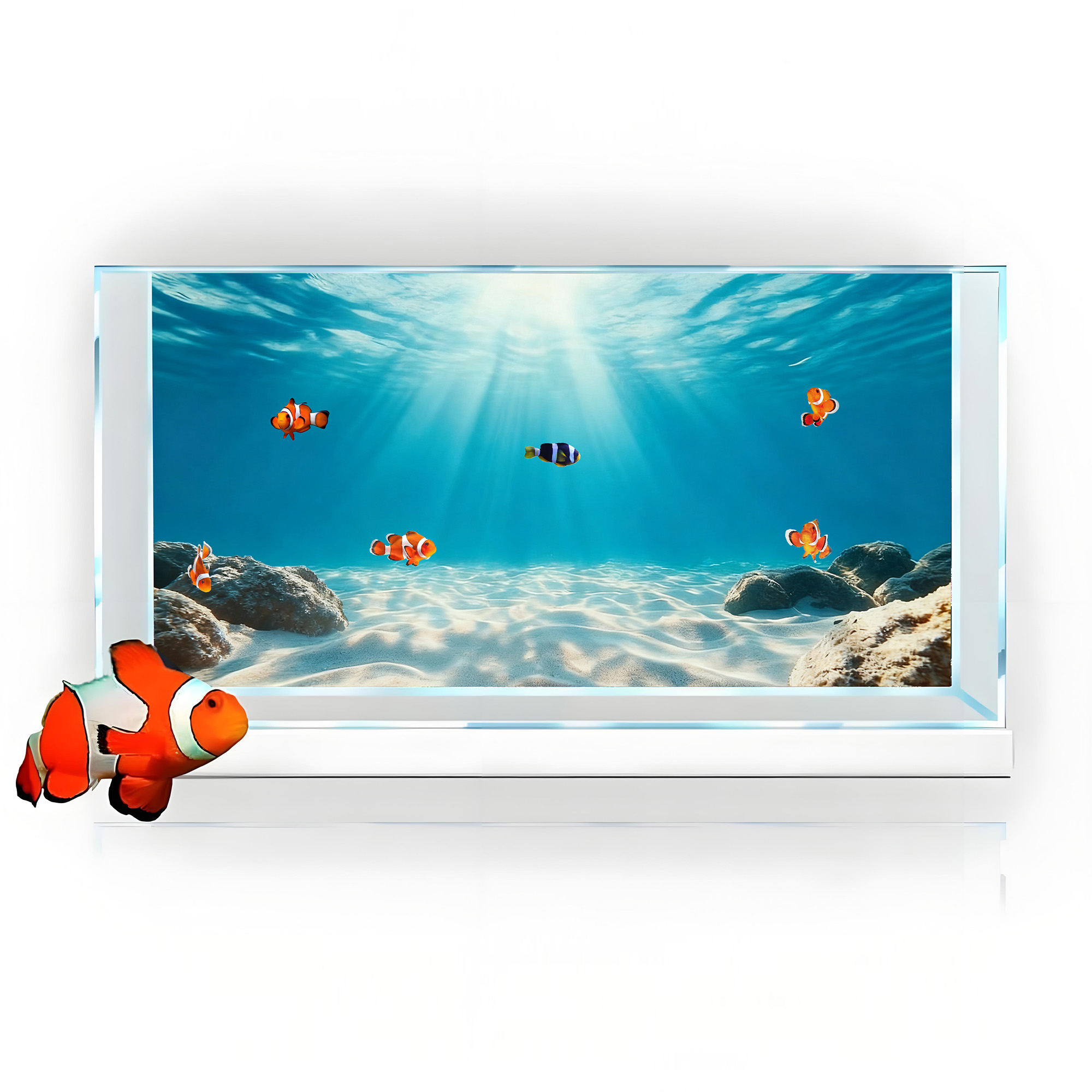 Sable bleu transparent, peintu - Aquarium Marine Sand avis et prix