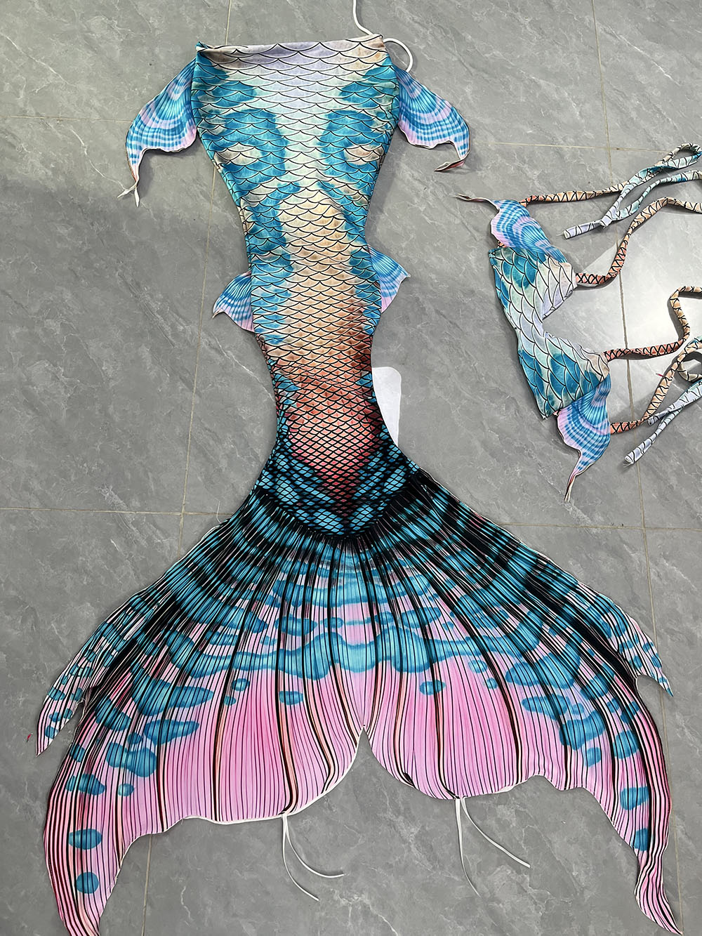 Queue de sirène de rêve coloré - Aquarium & Marine Museum Ums avis et prix