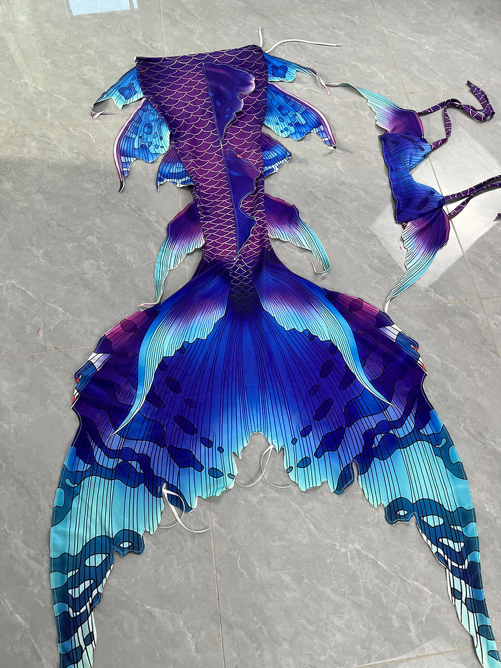 Queue de sirène de rêve coloré - Aquarium & Marine Museum Ums avis et prix