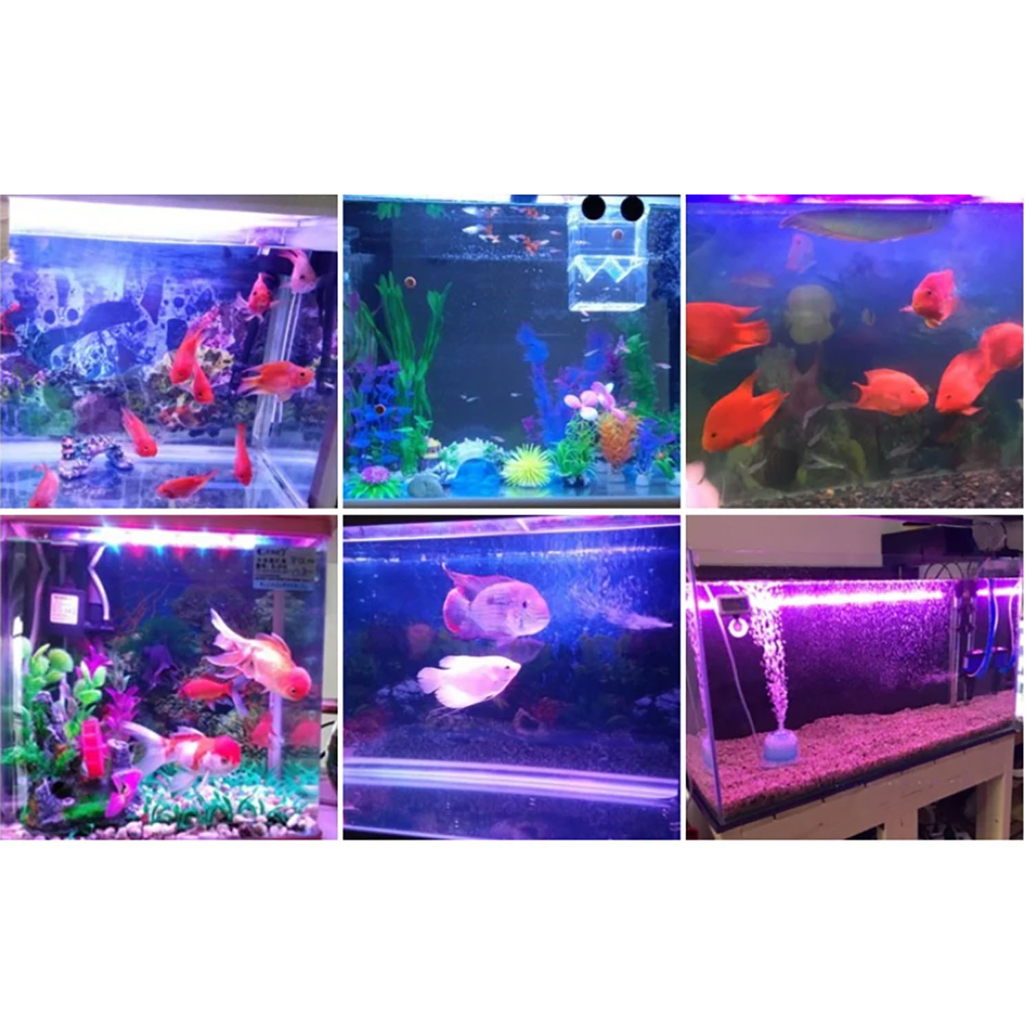 Éclairage LED pour aquarium ma - Aquarium Marine Blue avis et prix