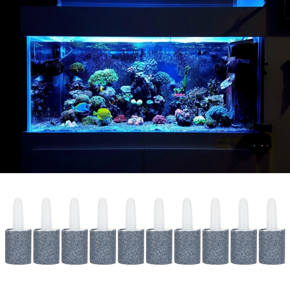 10 pièces ensemble cylindre fo - Aquarium Marine Sand avis et prix