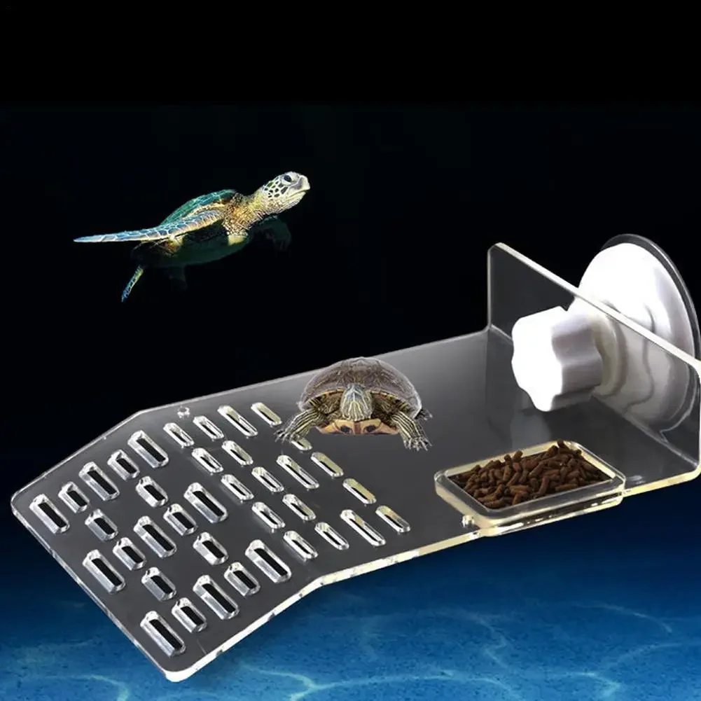 Plateforme de baignade Turtle  - Aquarium Marineland avis et prix